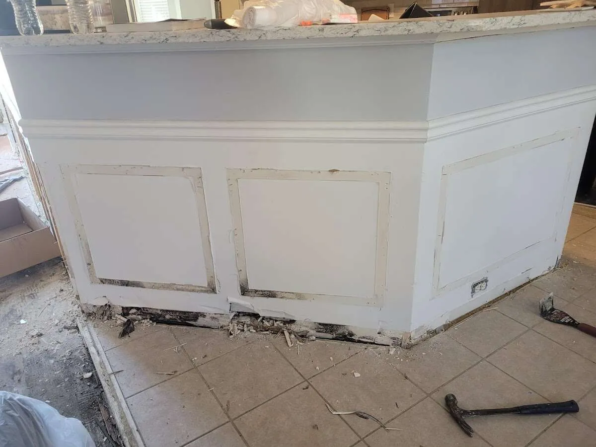 Water damage and mold on kitchen during Sewage Cleanup & Sanitation in Florence